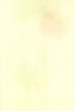 画像6: 仮名料紙 しかの 半懐紙判 50枚 （5柄・各10枚）