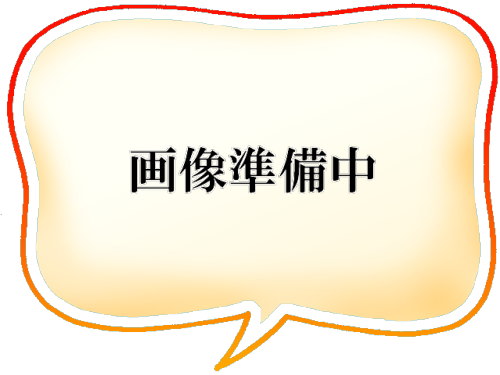 紅星牌 六尺棉料単宣 50枚 - 書道用品専門店 弘梅堂